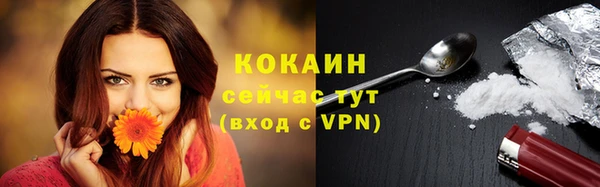 прущий лед Арсеньев