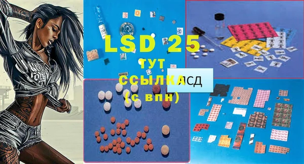 PSILOCYBIN Балахна