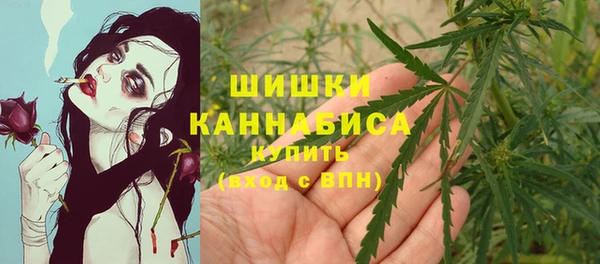 мдпв Балабаново