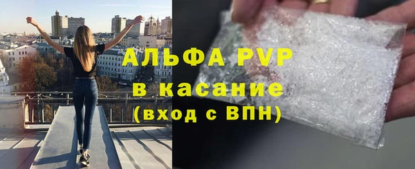 PSILOCYBIN Балахна